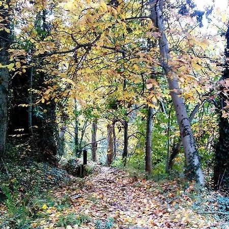 Διαμέρισμα Ruralmedulas Casa 1 *