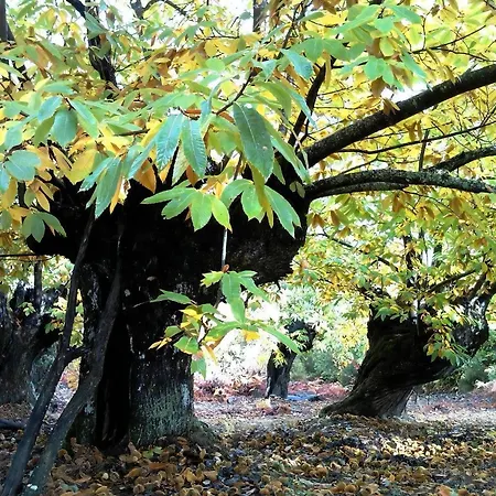 Διαμέρισμα Ruralmedulas Casa 1 Carucedo